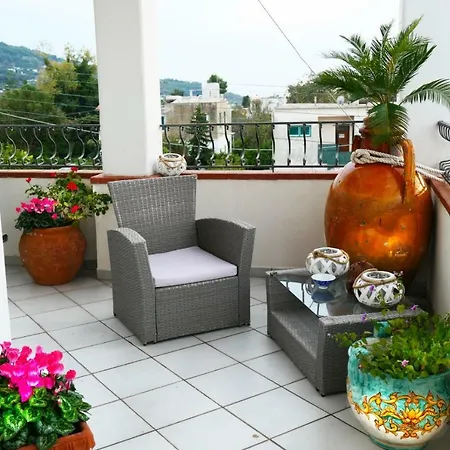 Bed & Breakfast La Ninfa Di Capri