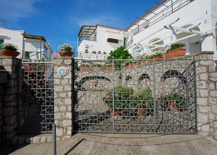 Bed & Breakfast La Ninfa Di Capri